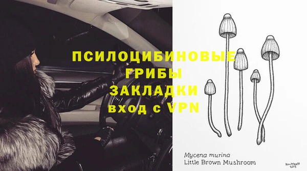 МДПВ Алексин
