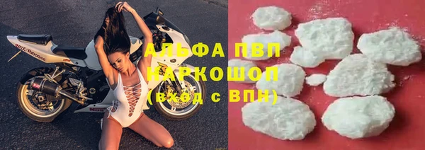 гашик Алзамай