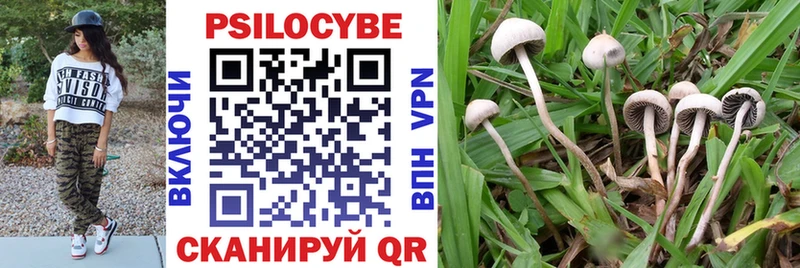 Псилоцибиновые грибы Magic Shrooms  закладки  Жуковский 