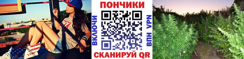 мега онион  Жуковский  нарко площадка состав  Марихуана тримм 